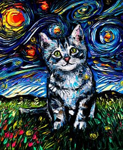 Gray Tabby Kitten Night