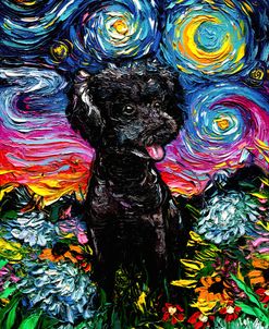 Black Poodle Night 3
