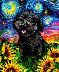 Black Poodle Night 4