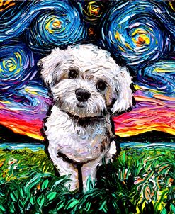 Maltipoo Night