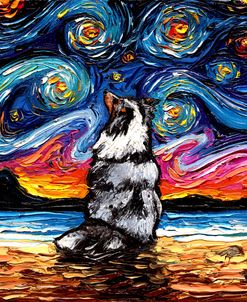 Merle Shetland Sheepdog Night