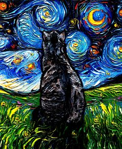 Gray Tabby Night