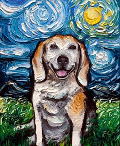 Hound Night
