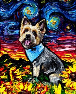 Silky Terrier Night
