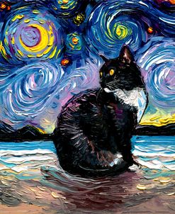 Tuxedo Cat Night 2