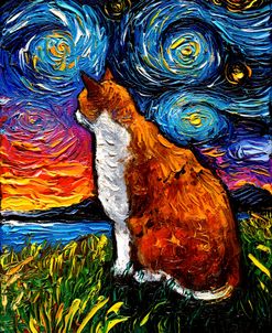 Orange and White Tabby Night