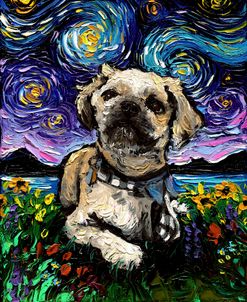 Shih Tzu Night 3
