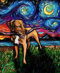Vizsla Mix Night