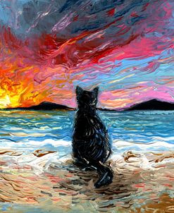 Beach Days – Black Cat