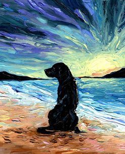Beach Days – Black Labrador