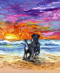 Beach Days – Schnauzer