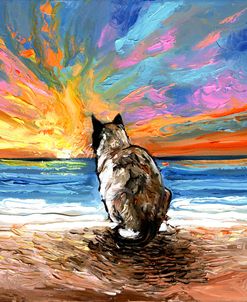 Beach Days – Snowshoe Cat