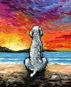 Beach Days – White Poodle