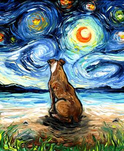 Beach Nights – Brown Pitbull