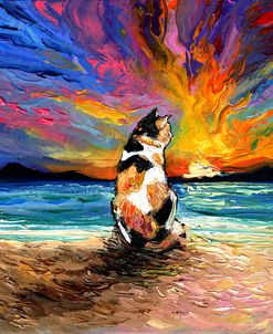 Beach Days – Calico Cat
