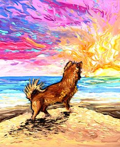 Beach Days – Chihuahua