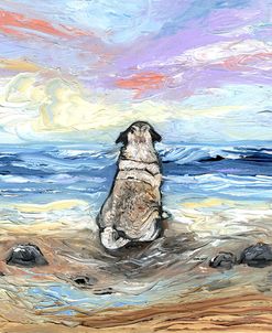 Beach Days – Pug
