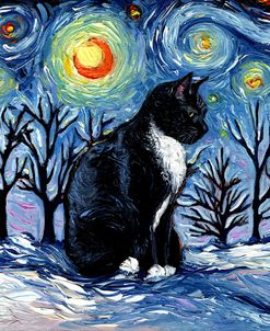 Winter Night – Tuxedo Cat