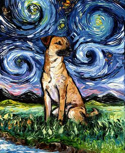 Black Mouth Cur Night