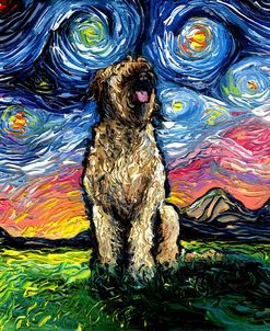 Briard Night