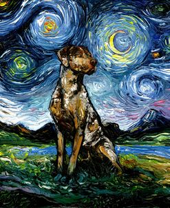 Catahoula Leopard Dog Night