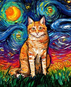 Orange Tabby Night 2