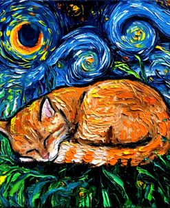 Orange Tabby Night