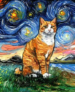 Orange Tuxedo Tabby