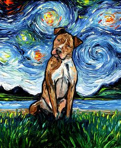 Brown Pitbull Night