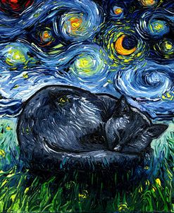 Sleepy Black Cat Night
