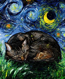 Sleepy Brown Tabby Night