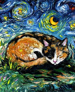 Sleepy Calico Night