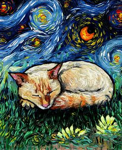 Sleepy Flame Point Siamese Night
