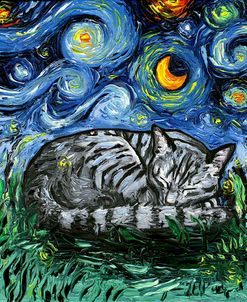 Sleepy Gray Tabby Night