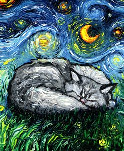 Sleepy Persian Night