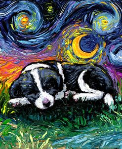 Sleepy Border Collie Pup Night