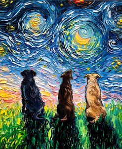 Star Gazers
