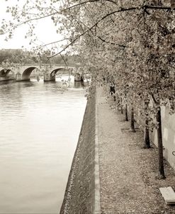 FR552 – Promenade Seine II