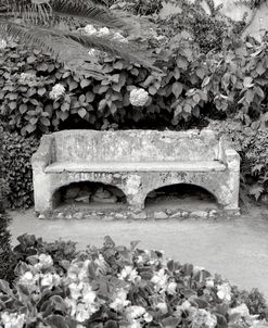 IT858 – Campagnia I