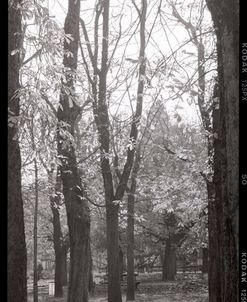 FRV103 – Jardin du Luxembourg Banc