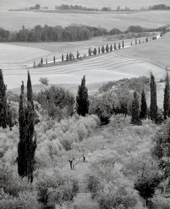 IT2279 – Tuscany VI