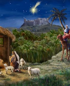 Nativity Visit