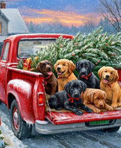 Yuletide Lab Ride
