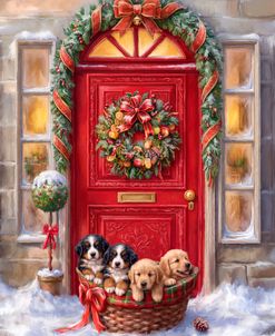 Special Delivery