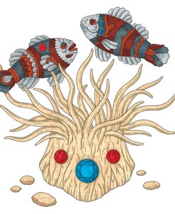BC Clown Fishes – Color