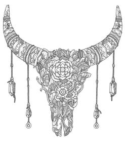 Buffalo Skull
