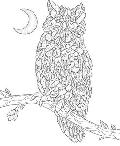 Nature’s Perch