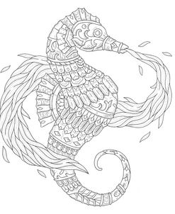 BC Seahorse