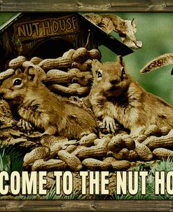 Welcome to the Nut House