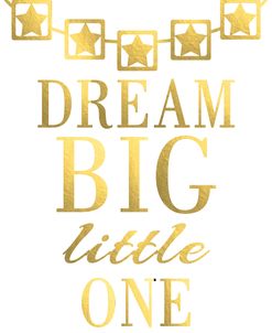 Dream Big Little One